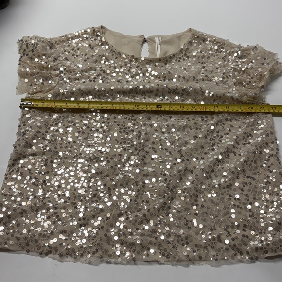 Anthropologie woman’s Sequin Beige Blouse - Picture 6 of 9